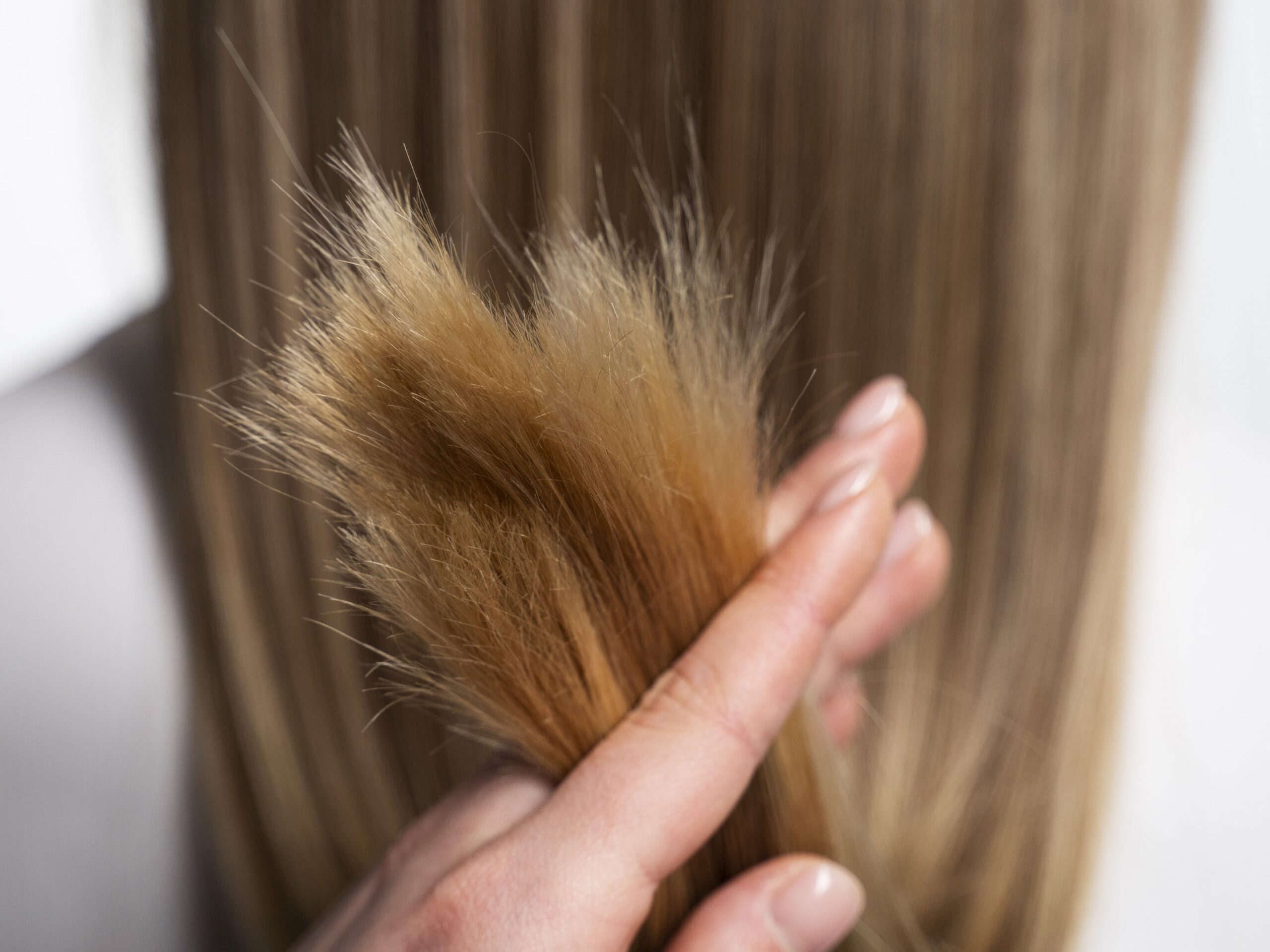 Healthy Hair 101: Let’s Talk Split Ends