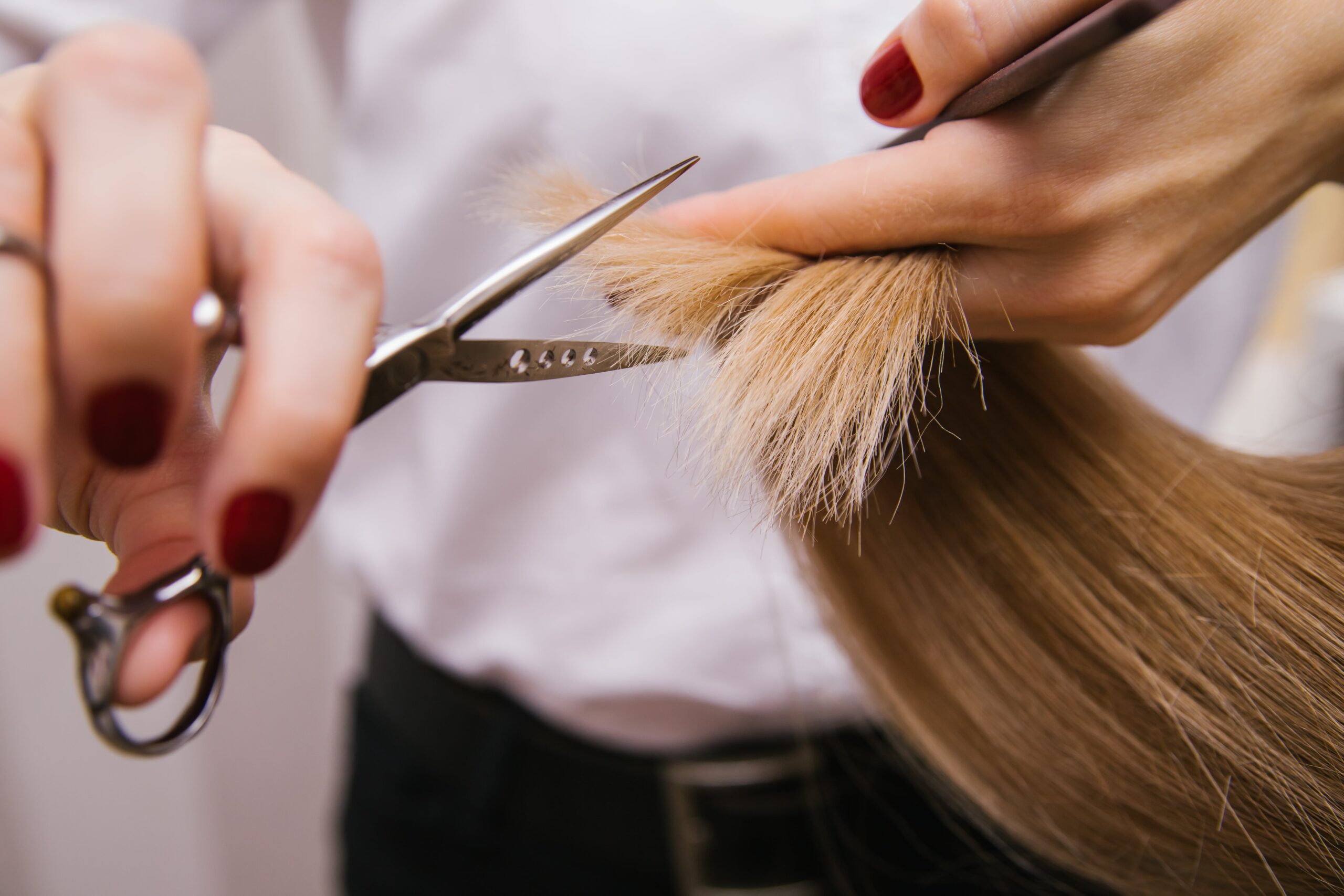 7 Hair Myths You Should Stop Believing